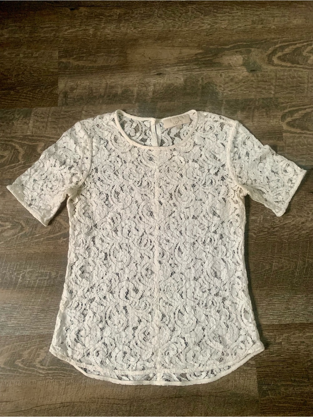 Lace Short Sleeve Unlined Top - Ivory - LOFT